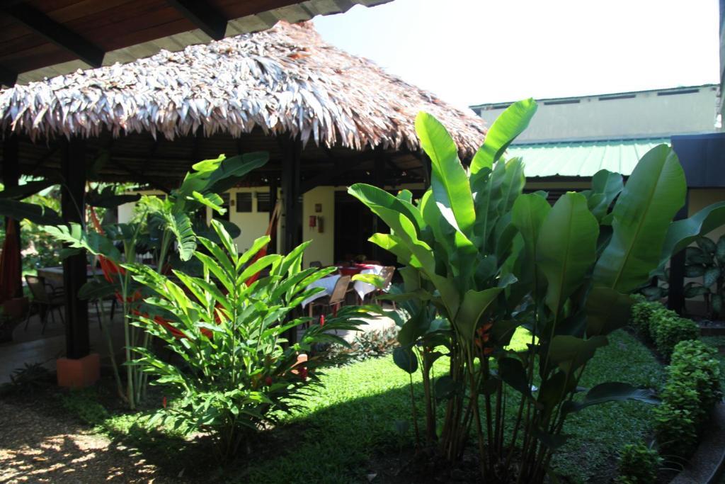 Hotel Amazon Bed And Breakfast Leticia Bagian luar foto
