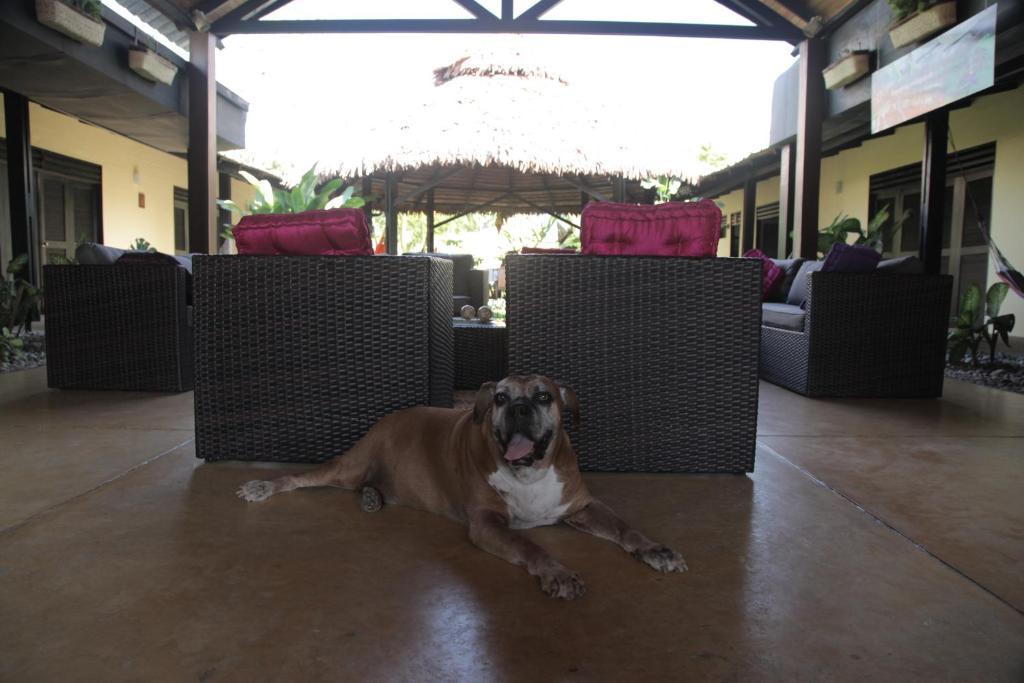 Hotel Amazon Bed And Breakfast Leticia Bagian luar foto